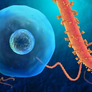 Ebola from Shutterstock. 