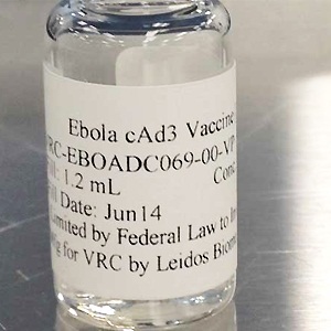 A vaccine candidate to be tested in the upcoming Ebola drug trials. (NIAID/GSK)