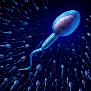Human sperm cell from Shutterstock