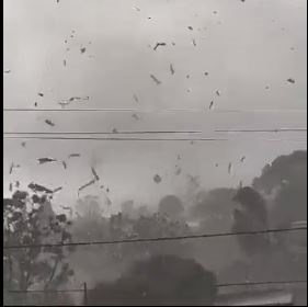 A tornado flew through the north of Durban and lef