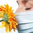 Common allergy myths