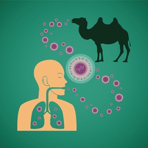 Respiratory pathogenic MERS virus from Shutterstock