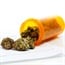 Legalising marijuana cuts drug overdose deaths