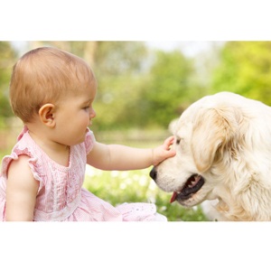 Baby girl petting family dog from Shutterstock