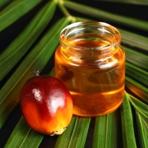 Red palm oil from Shutterstock 