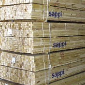 Sappi stuck with 100 000 tons of product due to port problems