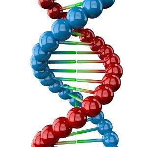 DNA helix from Shutterstock