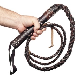 Brown leather whip from Shutterstock
