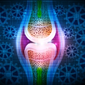 Knee joint from Shutterstock