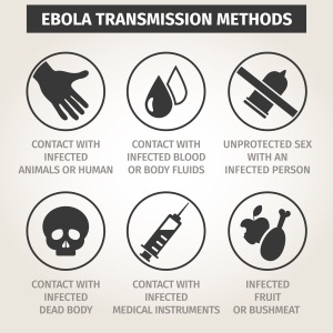 Ways of transmitting Ebola from Shutterstock