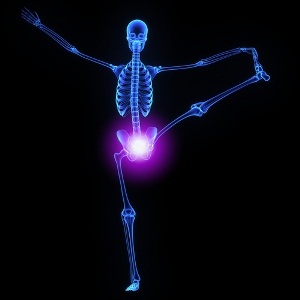 Hip joint from Shutterstock