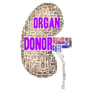Organ donation concept from Shutterstock