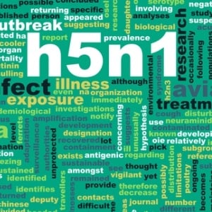 H5N1 flu virus from Shutterstock