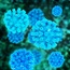 Health care workers more likely to get hepatitis C