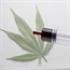 Chilean moms use cannabis oil to manage kids' epilepsy
