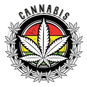Cannabis from Shutterstock