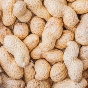 Peanuts from Shutterstock