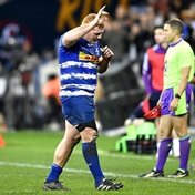 REPORT CARD | From sizzling Stormers to stumbling Sharks: How SA's franchises fared in Europe