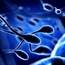 Poor sperm quality could indicate high blood pressure