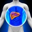 Gene predicts liver treatment