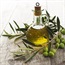 Olive oil protects liver