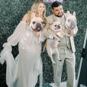 'People want their dogs in their wedding photos': US friends launch a pet lover's dream service