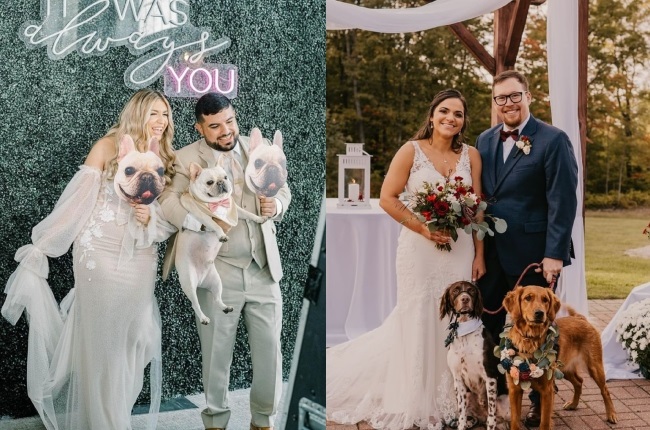 Couples who used Bow Wow Weddings services. Image via (bowwowweddings)/Instagram