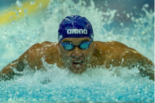 News24.com | Le Clos, Gallagher clinch Olympic qualifiers as Schoeman rolls back years in Gqeberha