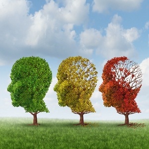 Alzheimer's eroding the brain from Shutterstock