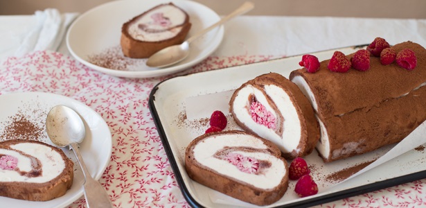 Frozen Chocolate And Ice Cream Swiss Roll Food24