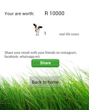 The Lobola Calculator app 'works out' how much a potential bride is 'worth'. (Gareth van Zyl)