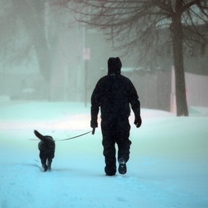 A man walks his dog down snow covered Shirley Street in Winthrop, Massachusetts. (Darren McCollester/Getty Images/AFP)
