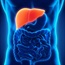 How phospholipids boost liver health