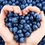Blueberries may help to control blood pressure