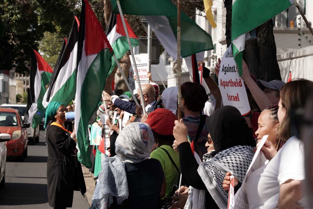 Pro-Palestine demonstrators.