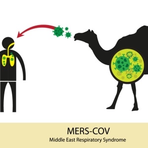 Transfer of MERS virus from Shutterstock