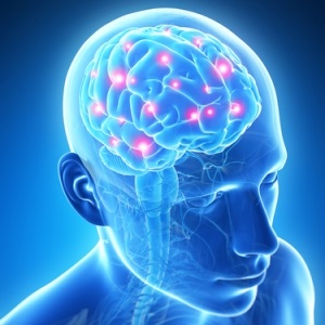 Active brain from Shutterstock