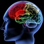 Brain injury boosts stroke risk