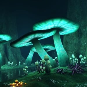 Glowing mushrooms from Shutterstock