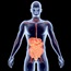 Causes of digestive disorders