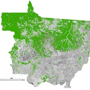 Deforestation in the Brazilian Amazon over 25 years. Improved satellite imaging technology now allows destruction to be tracked in near real-time. 