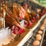 Bird flu hits millions of US chickens