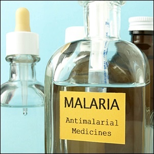 Drug-resistant malaria in parts of south-east Asia is a concern to South Africa. (Shutterstock)
