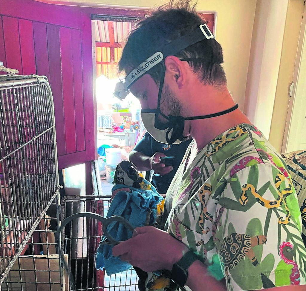 Hoarder faces animal cruelty charge | News24
