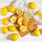 US launches antidumping investigation against SA lemon juice exporters