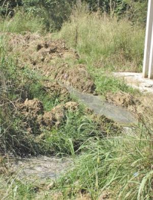 A channel has apparently been dug to route the flow of raw sewage into the Duzi river in the background.