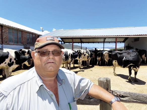 Mnr. Hannes Nel se gemiddelde produksie oor 305 dae is 11 839 kg melk, en tans melk hy sowat 100 koeie.