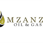 Oil and gas man Sipunzi in R300K trouble 