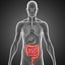 Faecal transplants help fight gut infection