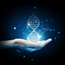 Does DNA determine success in life?